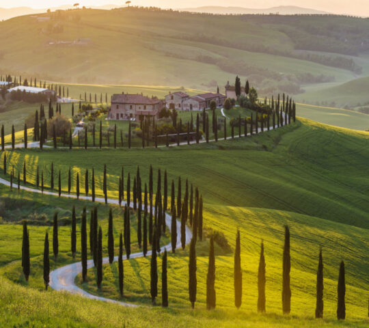 Singlereis door Romantisch Toscane