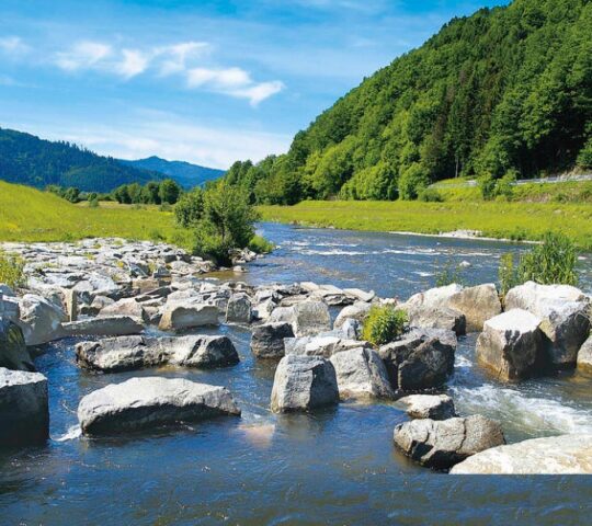 7- daagse wandelvakantie Zwarte Woud