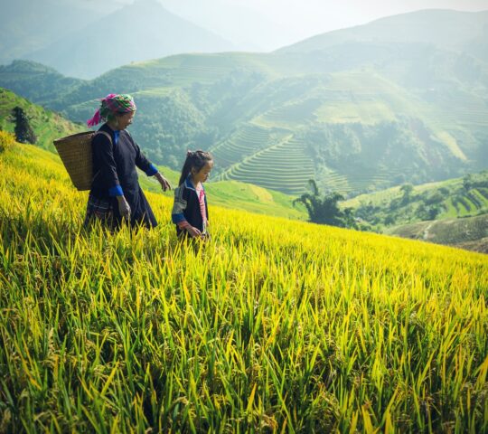 21-daagse Single Groepsreis Vietnam & Cambodja