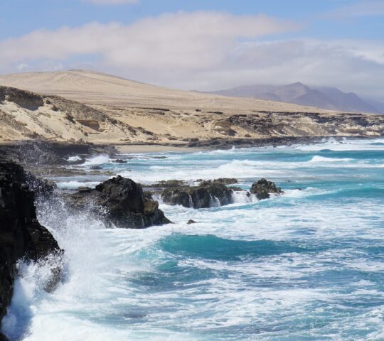 Actieve Singlereis Fuerteventura