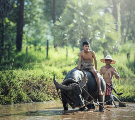 22-daagse Groepsrondreis Java, Bali en Lombok