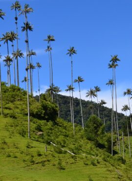 Colombia