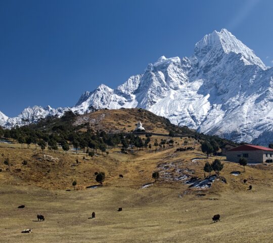 23-daagse Single Groepsreis Nepal